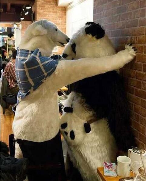 北极熊，你想干什么综合gif搞笑图片