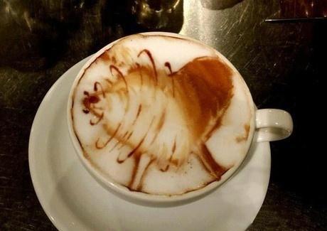 这个拉花是真的厉害了综合gif搞笑图片