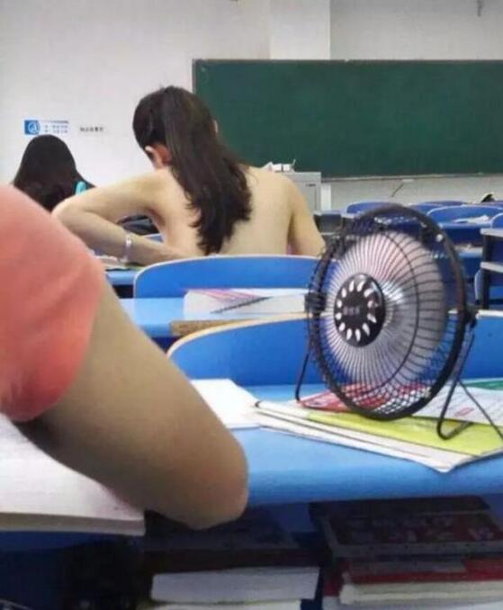 这风扇哪有卖啊？综合gif搞笑图片