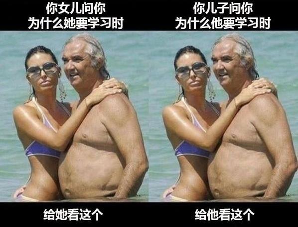 一张图搞定综合gif搞笑图片