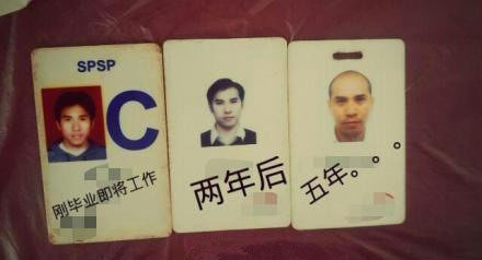 程序员的成长综合gif搞笑图片