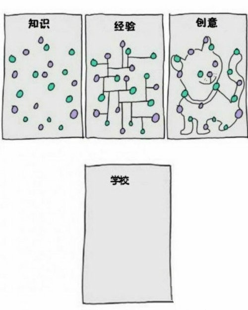 这是一个真实的故事综合gif搞笑图片