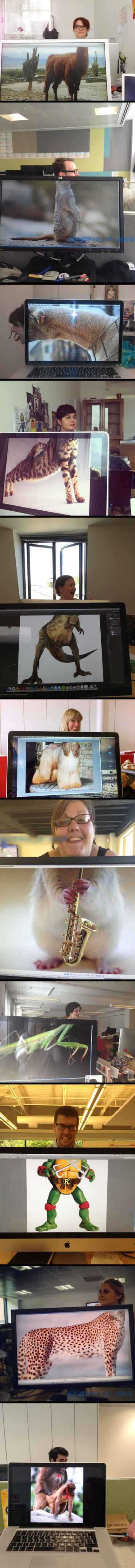 办公室的二并快乐着...综合gif搞笑图片