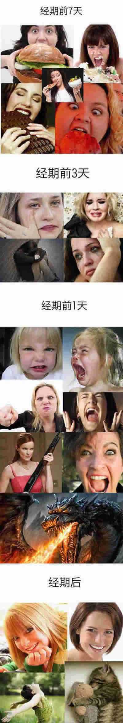 经期前后的女人。。。综合gif搞笑图片