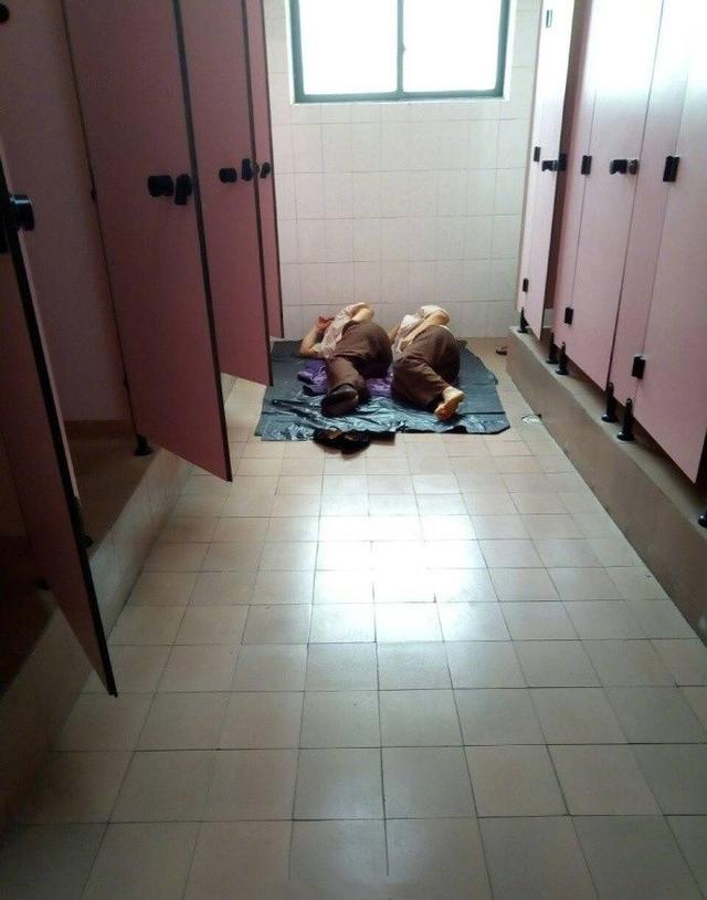 网友在厕所看到的一幕：如果不是生活所迫，谁又愿意苟且综合gif搞笑图片