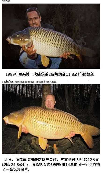 一个钓鱼爱好者和一条鲤鱼的故事综合gif搞笑图片