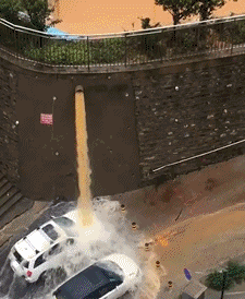 免费洗车服务，就是不知道什么时候能洗完综合gif搞笑图片