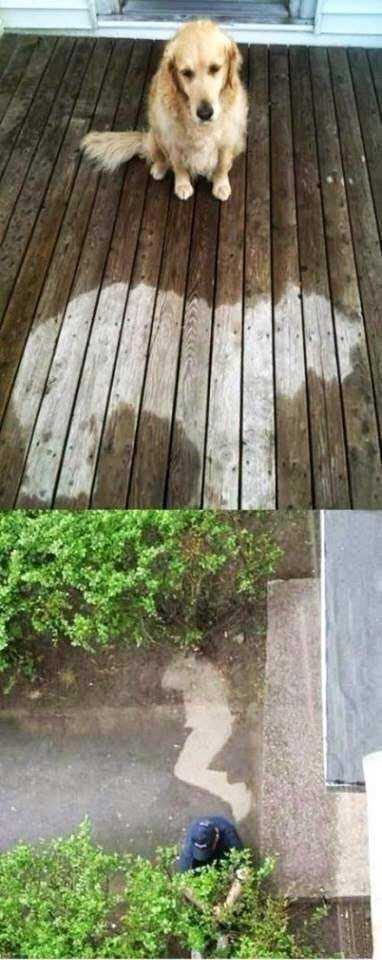 刚才下雨了，你怎么没叫醒我？综合gif搞笑图片