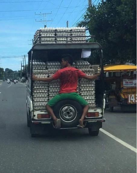 鸡蛋命运都在你手上综合gif搞笑图片