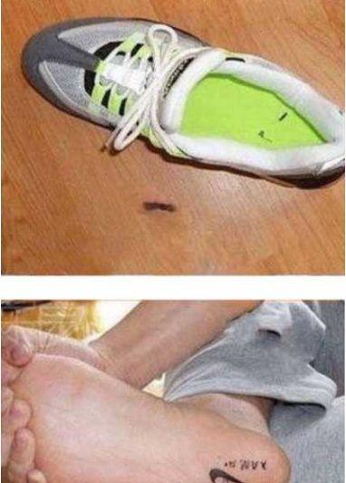 怕你记不住综合gif搞笑图片