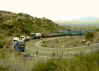 超大件运输，聪明的人类，这牌照难考不？综合gif搞笑图片