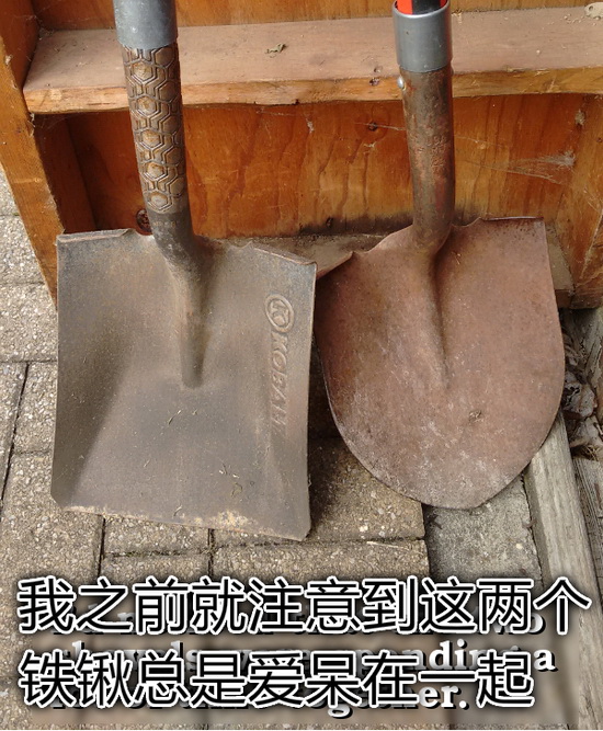 铁锹是从哪儿来的综合gif搞笑图片