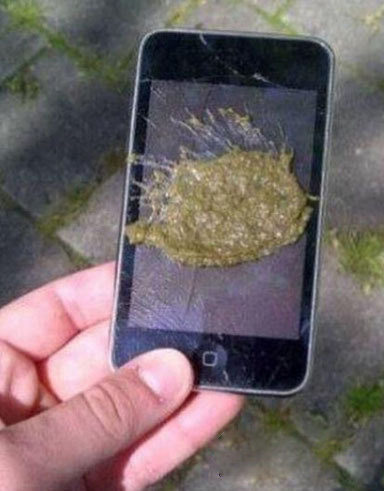 小鸟！我跟你什么怨什么仇？综合gif搞笑图片