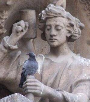 不敢相信 神一般的巧合综合gif搞笑图片