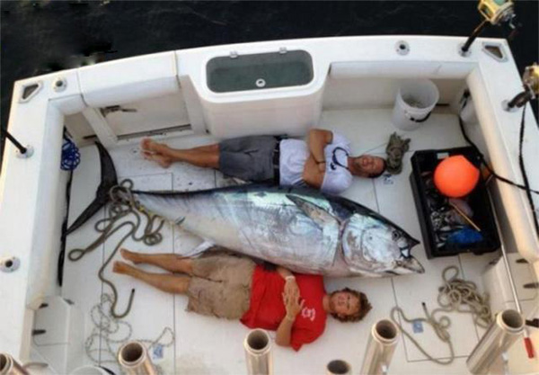 这么大的鱼够吃半年了综合gif搞笑图片