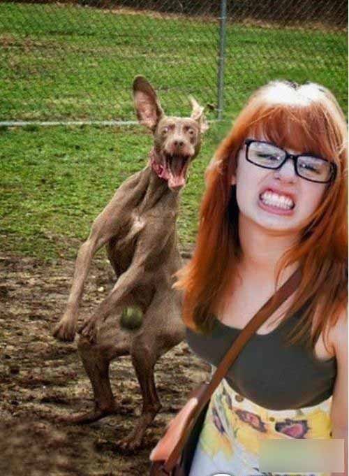 如此相似综合gif搞笑图片