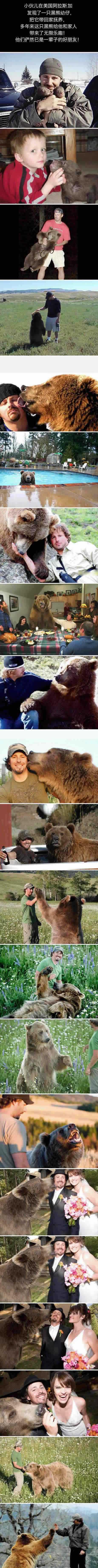 阿拉斯加小伙家的霸气朋友综合gif搞笑图片