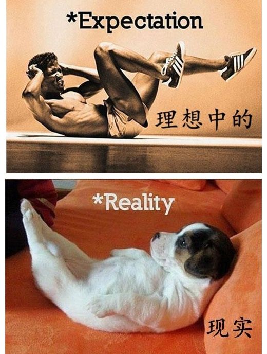 唯美的理想遇上残酷的现实 活生生憋出内伤了啊！综合gif搞笑图片