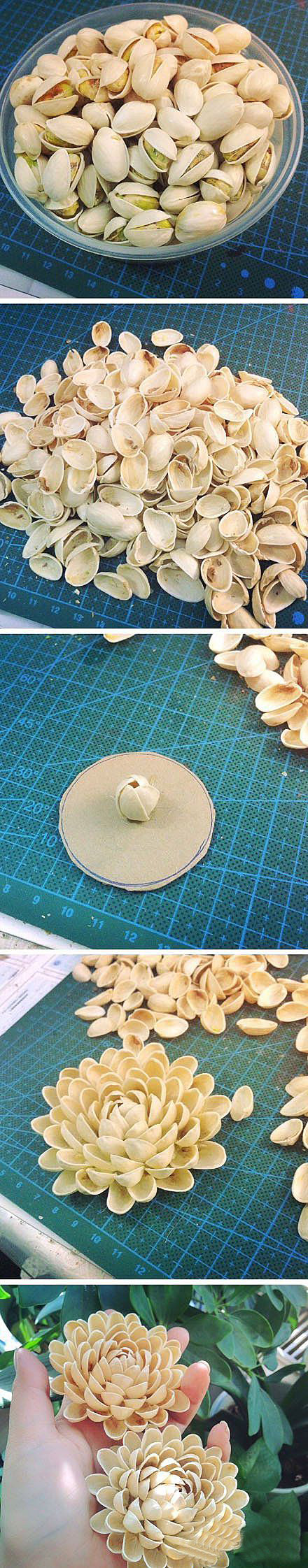 每次和她一起吃开心果都是我最开心的时候，她剥，我吃综合gif搞笑图片