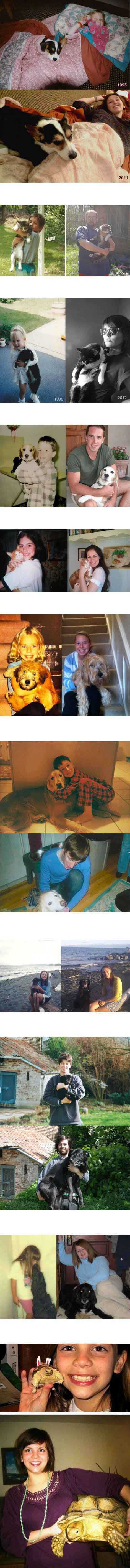 和你一起长大的宠物们，那只龟，雷死我了综合gif搞笑图片