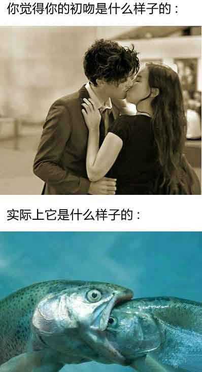 你觉得初吻的样子，实际上。。。综合gif搞笑图片