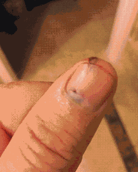 终于完成了我小时候想最想观察的结果之一综合gif搞笑图片