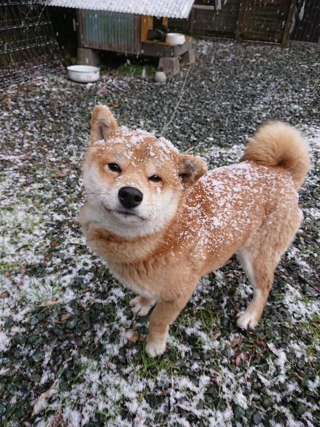 完全一致，一看就好吃综合gif搞笑图片