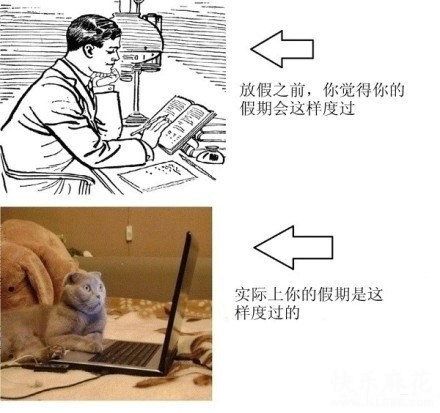 你的假期综合gif搞笑图片