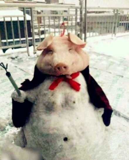 大师级别堆雪高手在民间综合gif搞笑图片