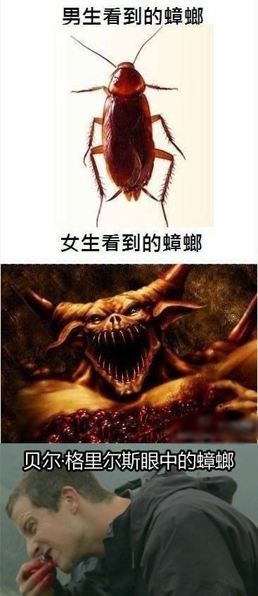 最后一张亮了综合gif搞笑图片