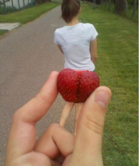 性感的草莓植物gif搞笑图片