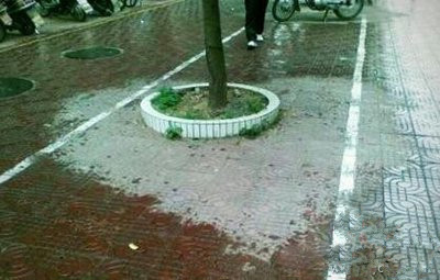 这场雨肯定暗恋着这棵树…植物gif搞笑图片