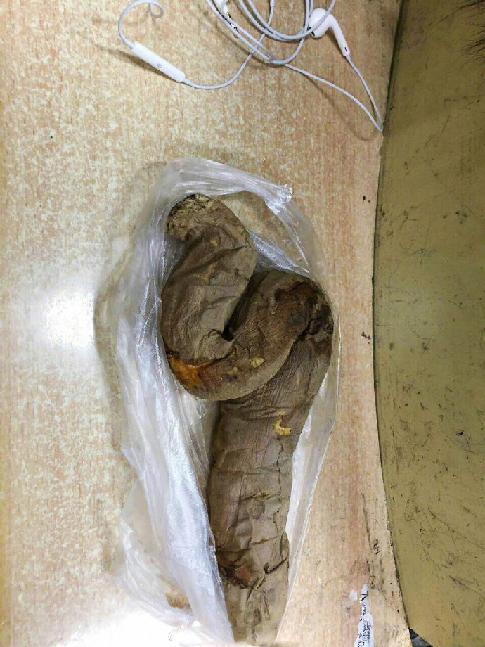 感恩，谢了，治好了我天一冷就想吃烤红薯的臭毛病植物gif搞笑图片