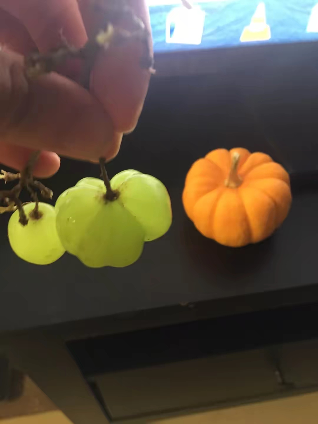 这是新品种的葡萄植物gif搞笑图片