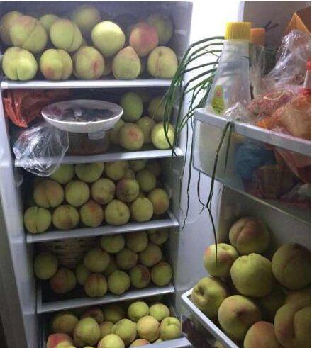 这家里是养了只猴吗？植物gif搞笑图片