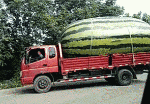 我是不是眼花了？植物gif搞笑图片