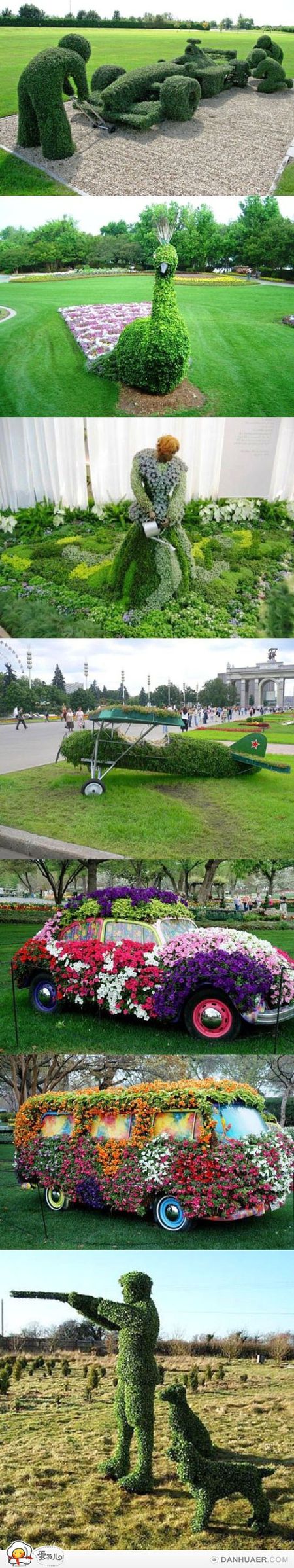 好拉轰的园艺设计植物gif搞笑图片