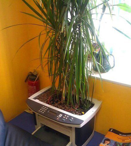 公司辈有人才出植物gif搞笑图片