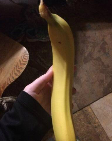 香蕉界的姚明植物gif搞笑图片