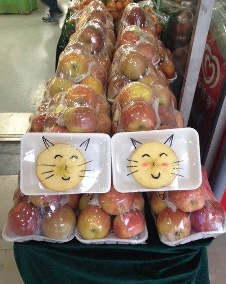 就是要萌你一下植物gif搞笑图片