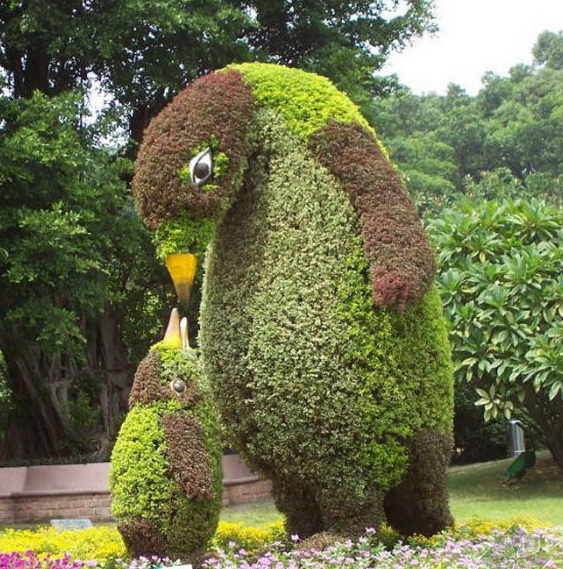 花圃中的奇观，用植物打造的各种造型植物gif搞笑图片