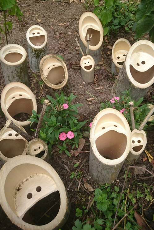 哈哈哈哈 哈哈哈哈 哈哈哈哈哈植物gif搞笑图片