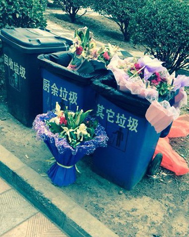 关于一个悲伤的故事植物gif搞笑图片