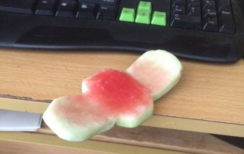 明显是刚用完呀植物gif搞笑图片