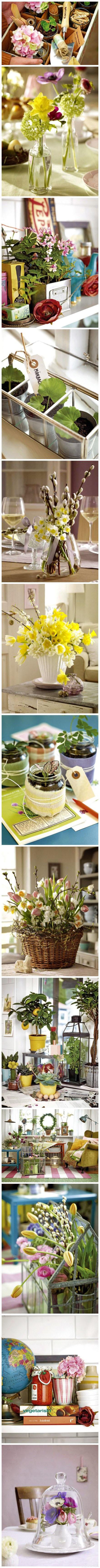 桌上应该有花花草草植物gif搞笑图片