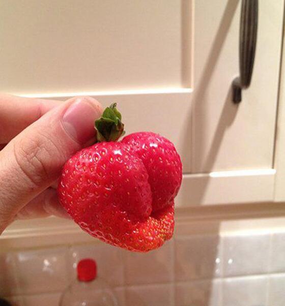 好性感的小PP植物gif搞笑图片