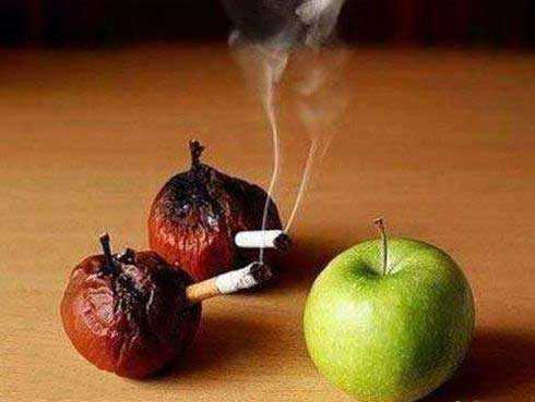 兄弟们，不要抽烟啊！植物gif搞笑图片