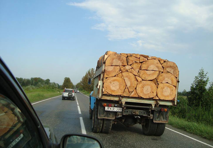 强迫症患者的福音植物gif搞笑图片