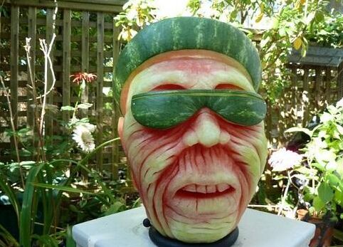 人类已经无法阻止西瓜雕了植物gif搞笑图片