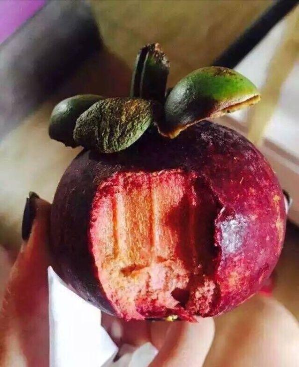 为什么大家说山竹好吃啊，很苦啊植物gif搞笑图片